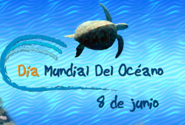 8 DE JUNIO DIA DE LOS OCEANOS